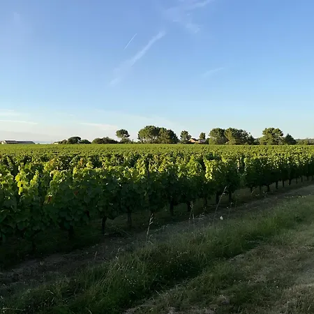 Forestiere En Bois Дом отдыха