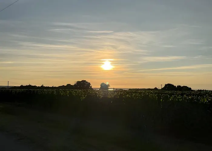 Forestiere En Bois * Villeneuve (Gironde)