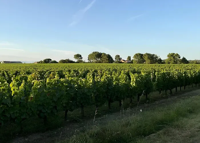 Forestiere En Bois Дом отдыха